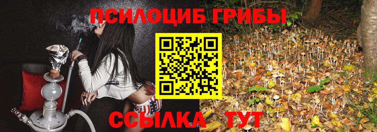 Псилоцибиновые грибы MAGIC MUSHROOMS Арсеньев